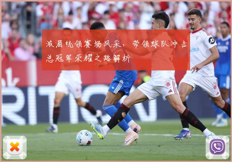 浓眉统领赛场风采，带领球队冲击总冠军荣耀之路解析
