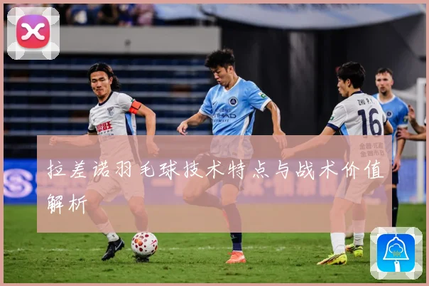 拉差诺羽毛球技术特点与战术价值解析