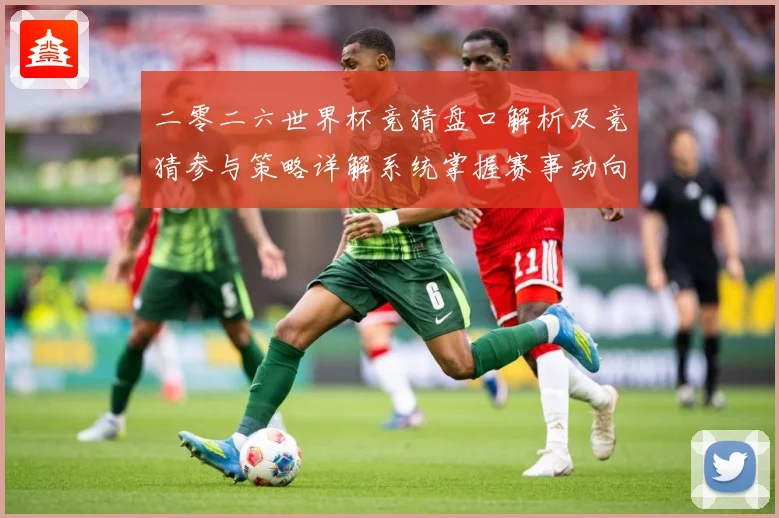 二零二六世界杯竞猜盘口解析及竞猜参与策略详解系统掌握赛事动向数据研判