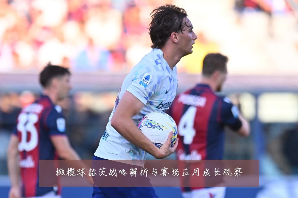 橄榄球赫茨战略解析与赛场应用成长观察