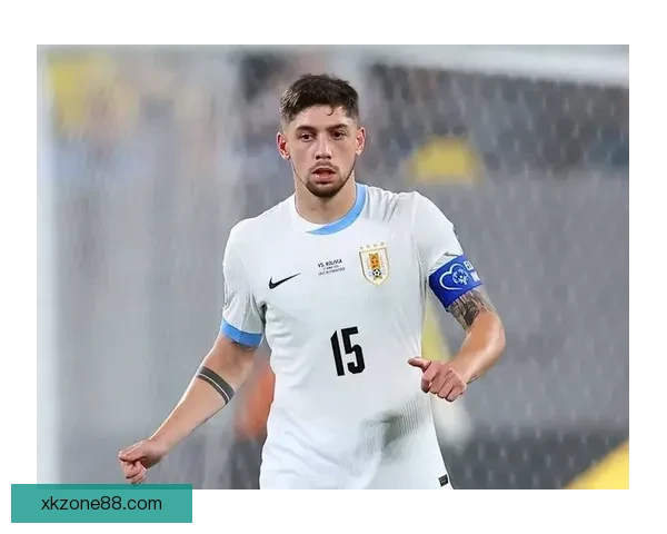 2026世界杯晋级球队全景解析豪强新势力与黑马格局终极展望